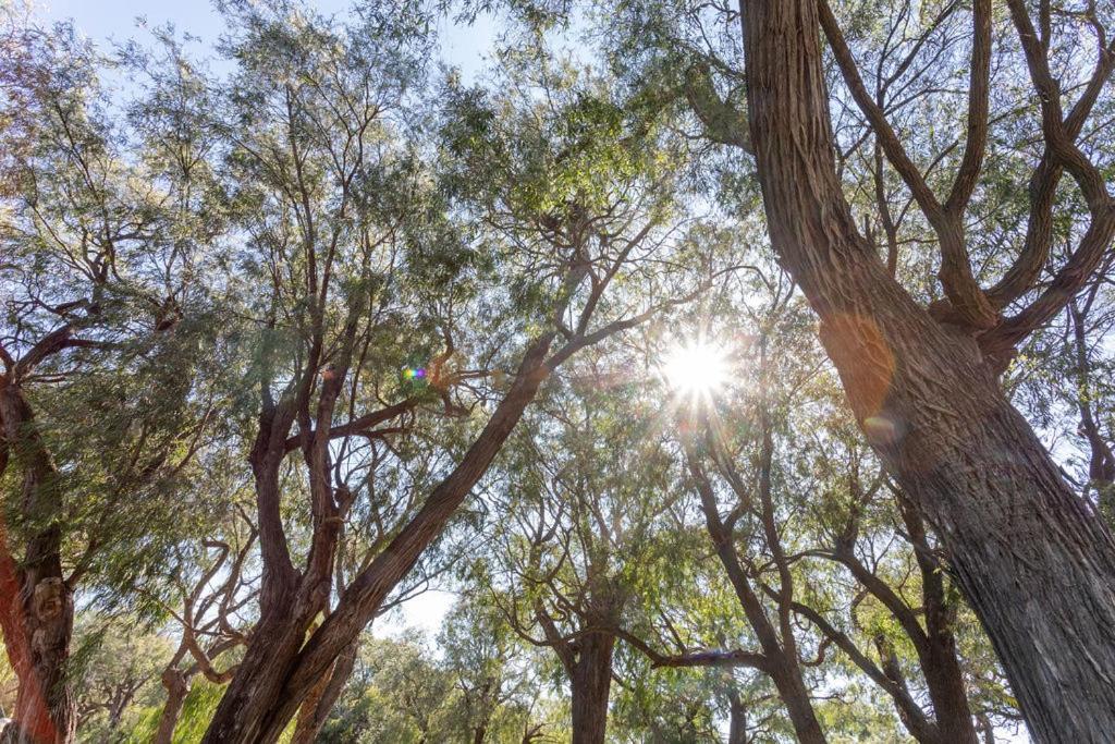 Busselton Villas And Glamping Village ภายนอก รูปภาพ